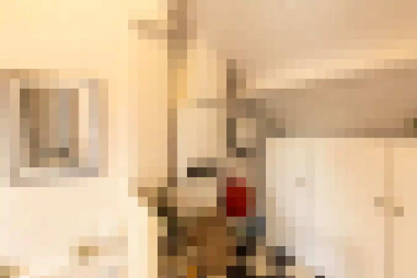 Leuverinkstraat 9 Gaanderen thumbnail 30