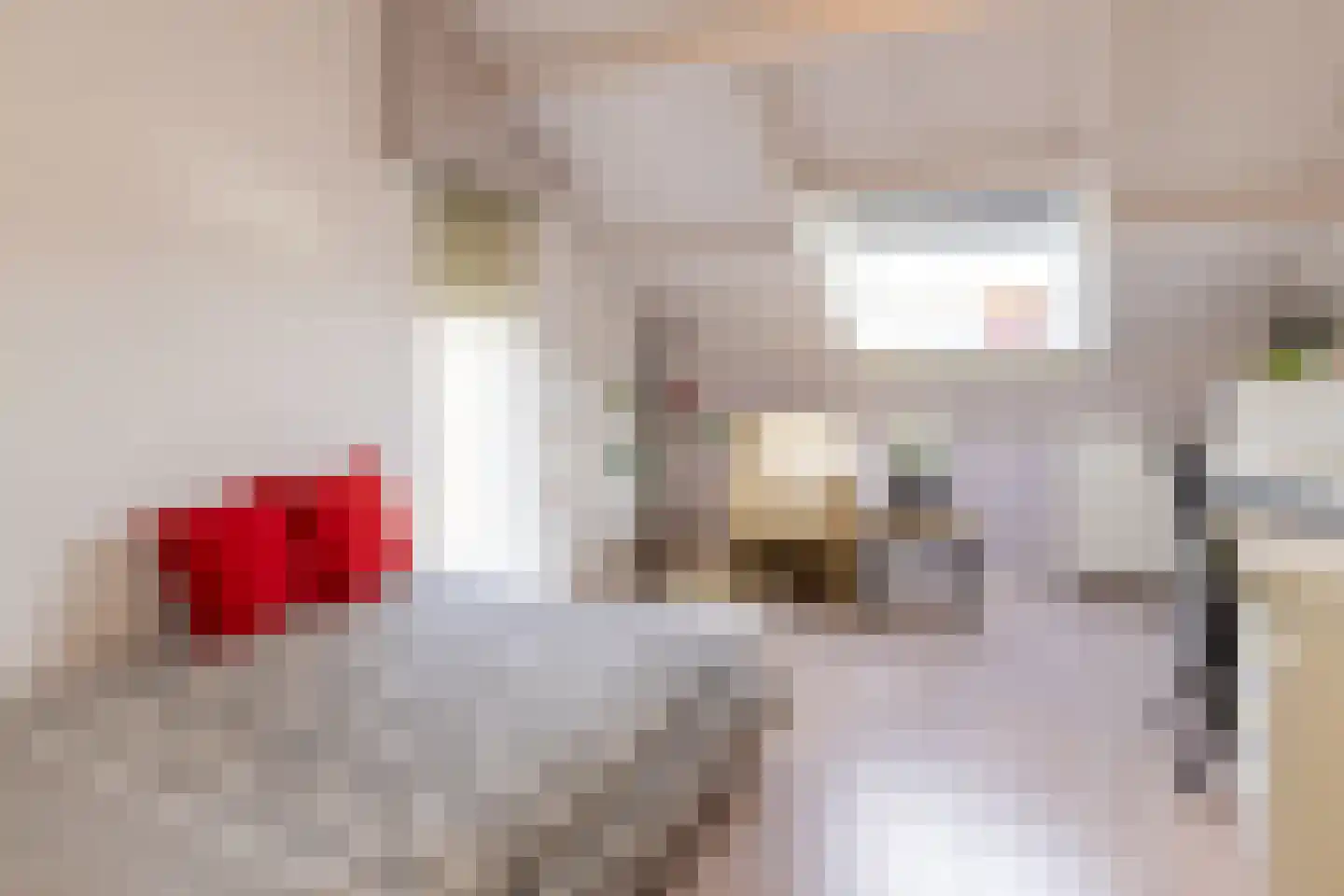 Leuverinkstraat 9 Gaanderen thumbnail 32