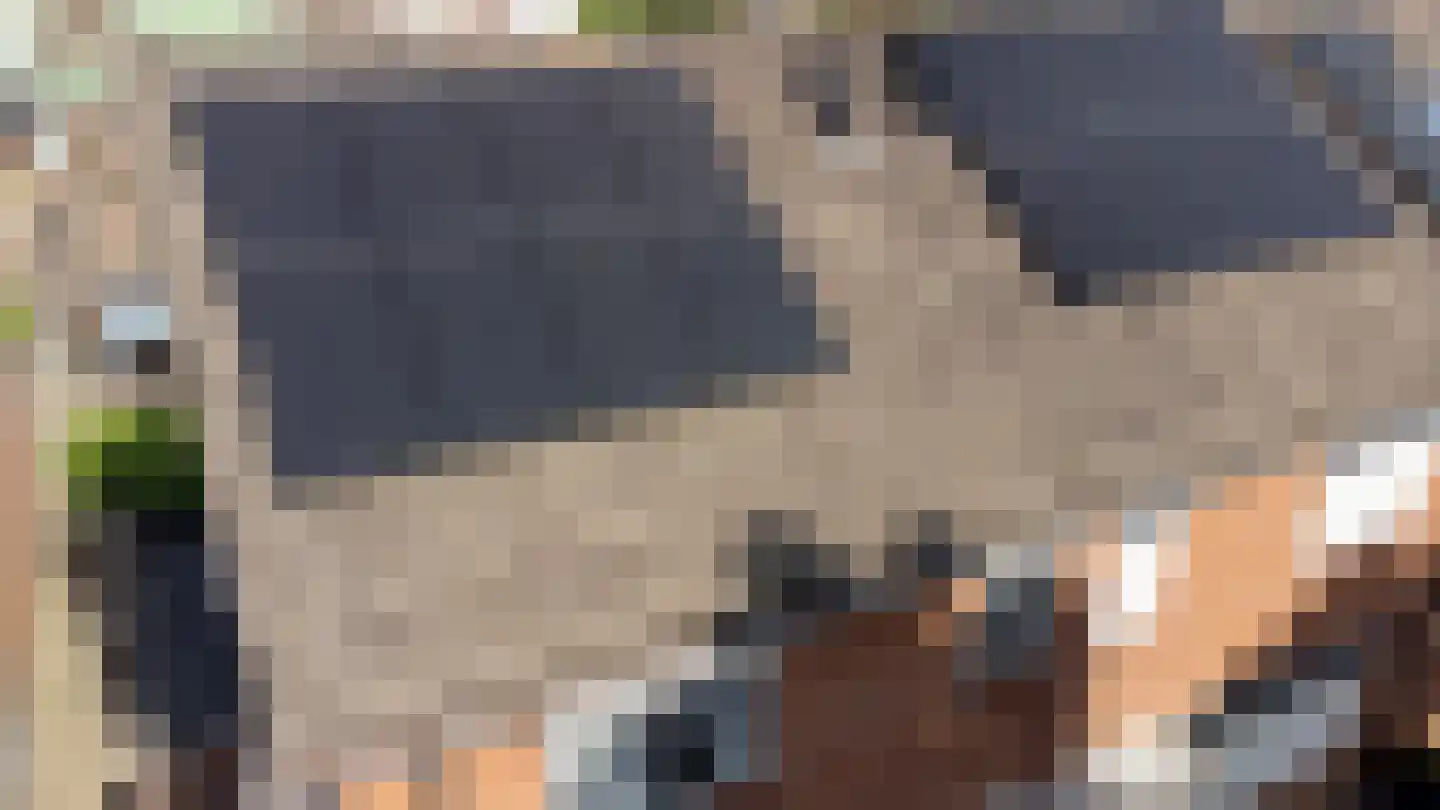 Leuverinkstraat 9 Gaanderen thumbnail 4