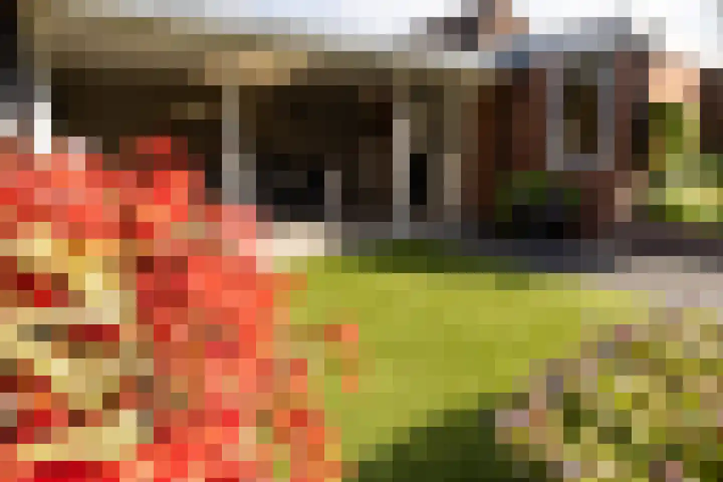 Leuverinkstraat 9 Gaanderen thumbnail 42