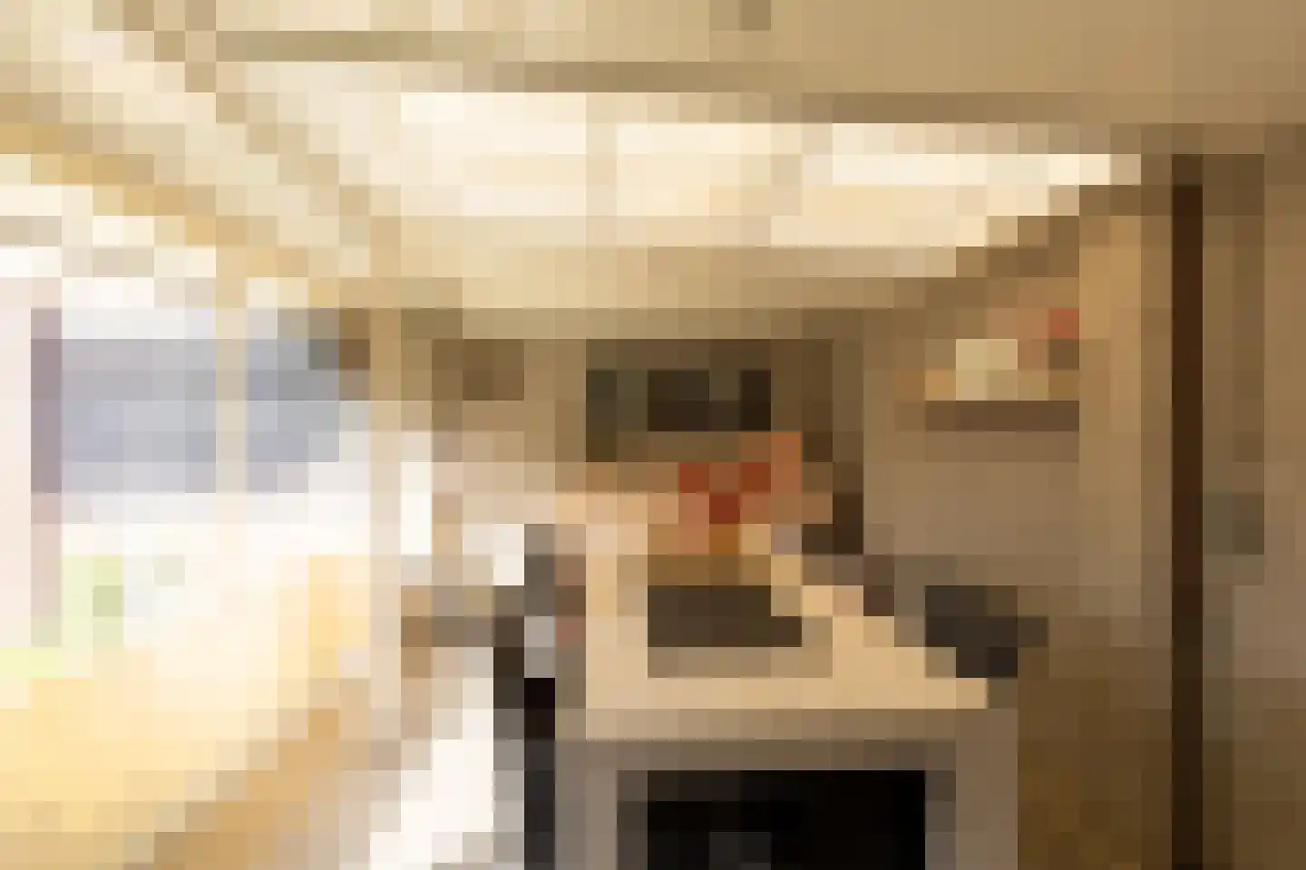 Leuverinkstraat 9 Gaanderen thumbnail 43