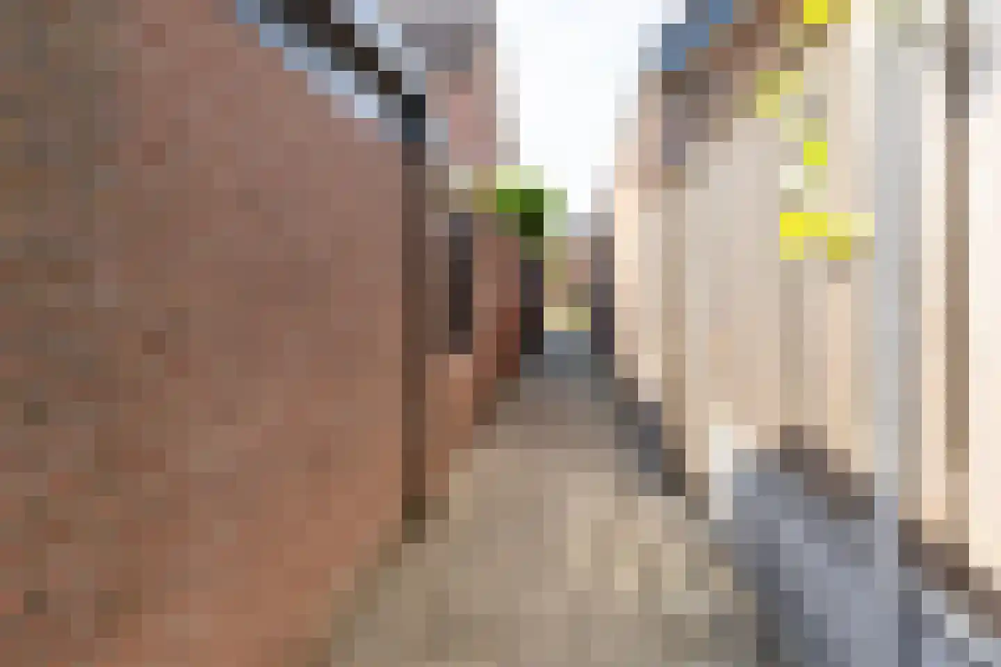 Leuverinkstraat 9 Gaanderen thumbnail 46