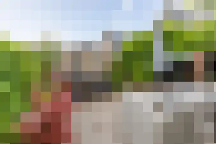 Lev Landaustraat 10 Almere thumbnail 45