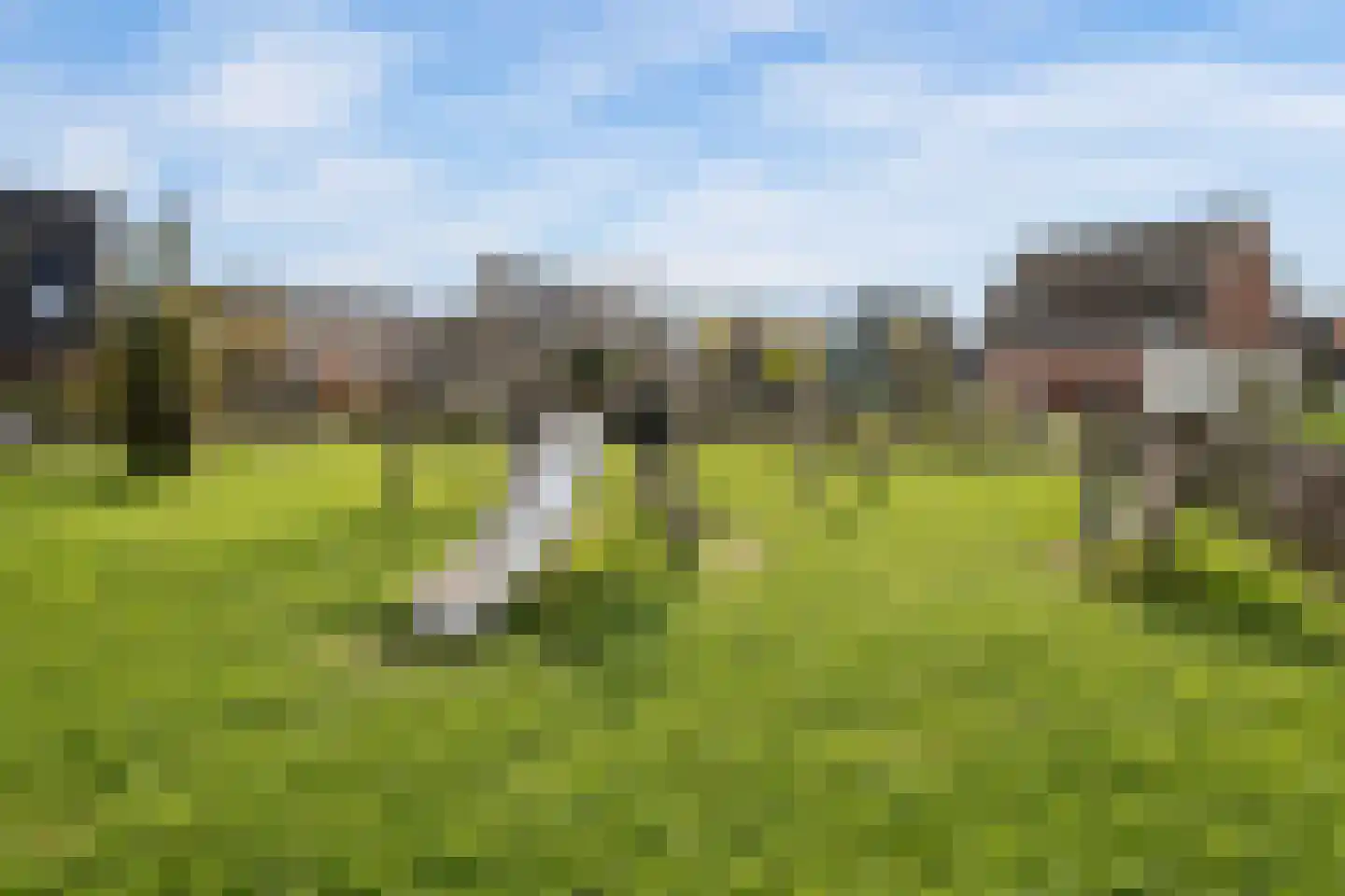 Lev Landaustraat 21 Almere thumbnail 85