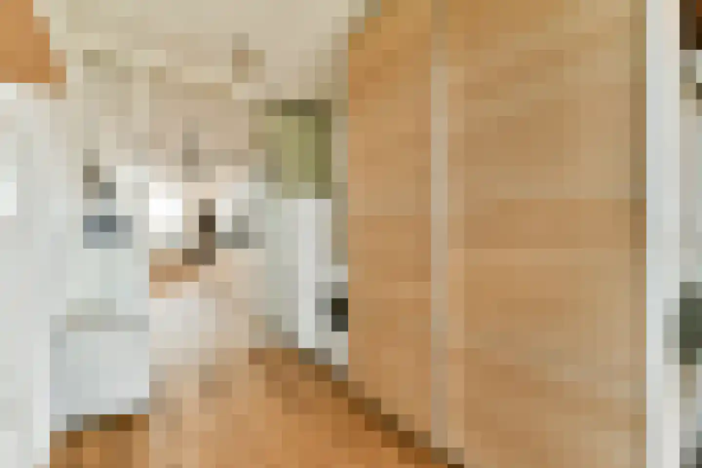 Levantkade 231 Amsterdam thumbnail 15