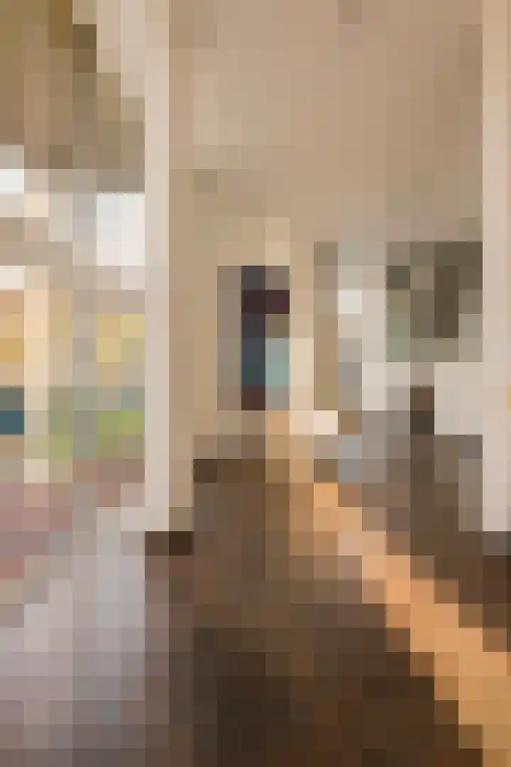 Levantplein 38 Amsterdam thumbnail 13