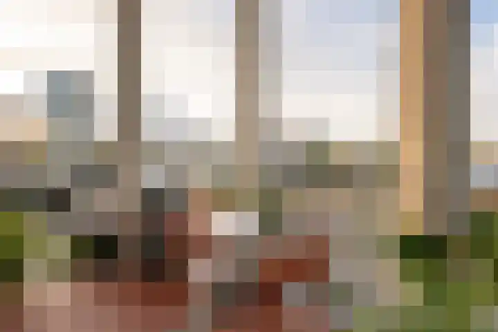 Levantplein 38 Amsterdam thumbnail 19