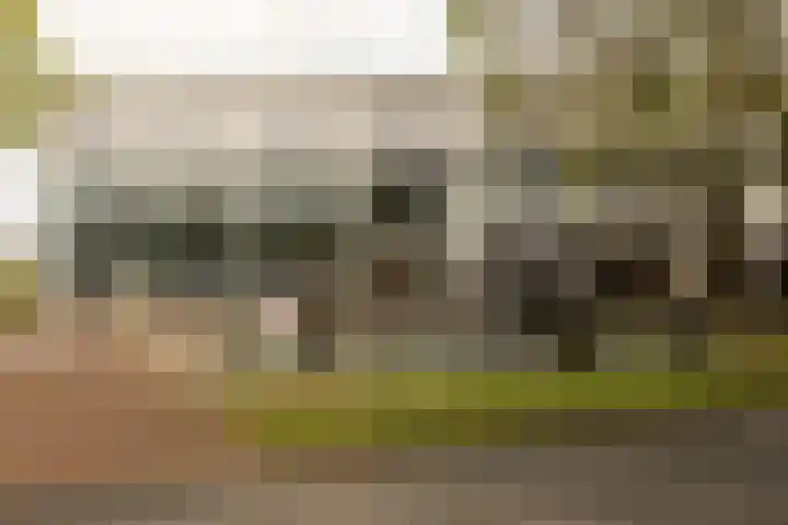 Levantplein 38 Amsterdam thumbnail 38