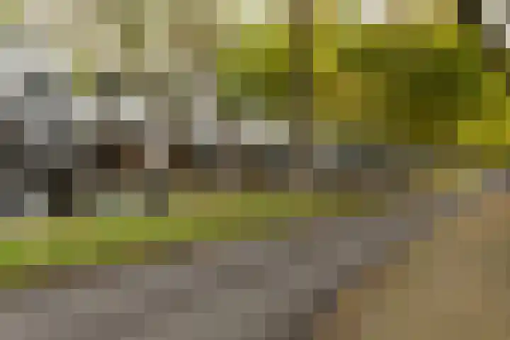 Levantplein 38 Amsterdam thumbnail 39