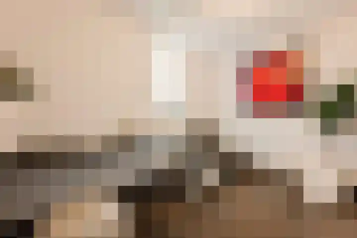 Levantplein 38 Amsterdam thumbnail 5