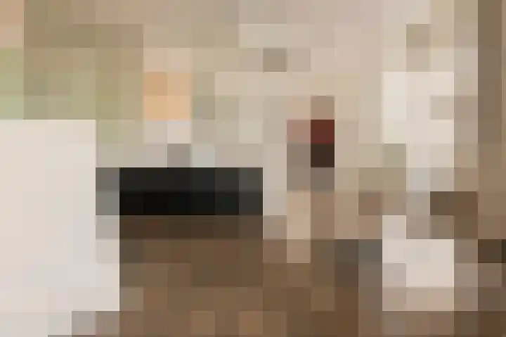 Levantplein 38 Amsterdam thumbnail 6