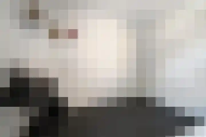 Levantstraat 39 Hengelo thumbnail 34