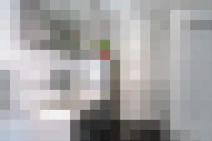 Levantstraat 39 Hengelo thumbnail 36