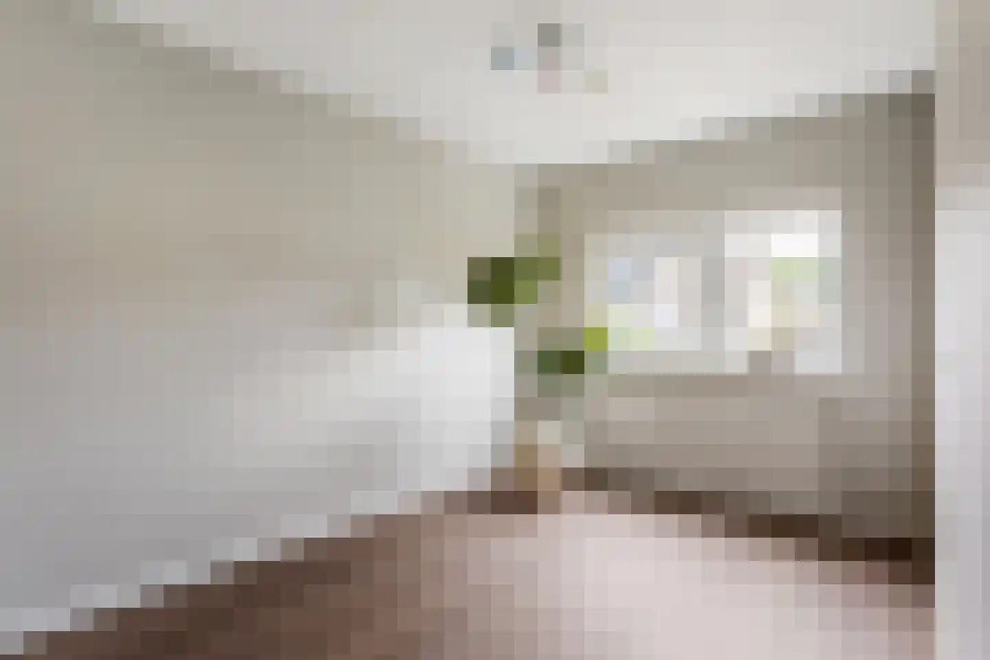 Levantstraat 64 Hengelo thumbnail 15