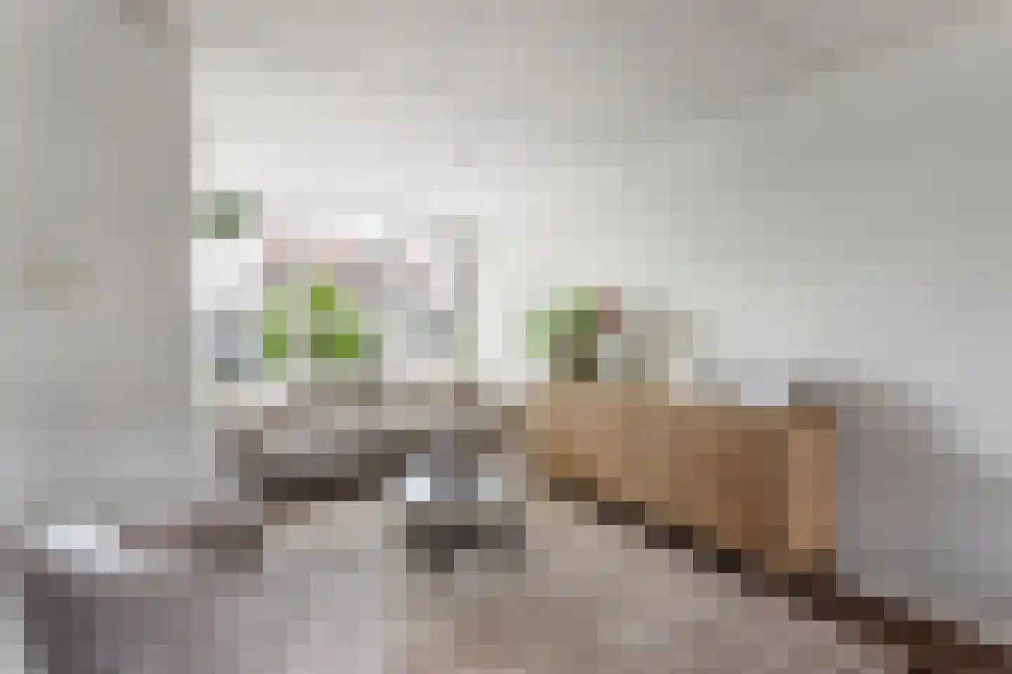 Levantstraat 64 Hengelo thumbnail 8