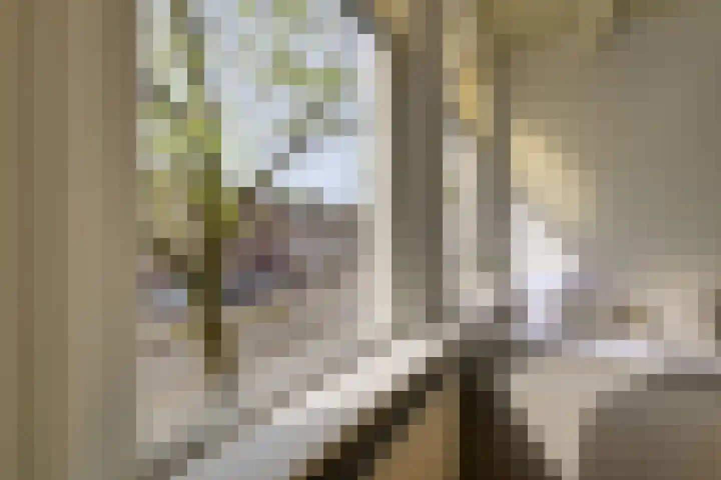 Levendaal 116 B Leiden thumbnail 11