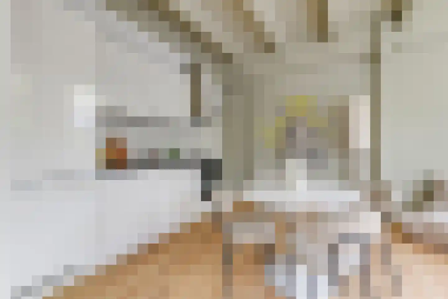 Levendaal 116 B Leiden thumbnail 6