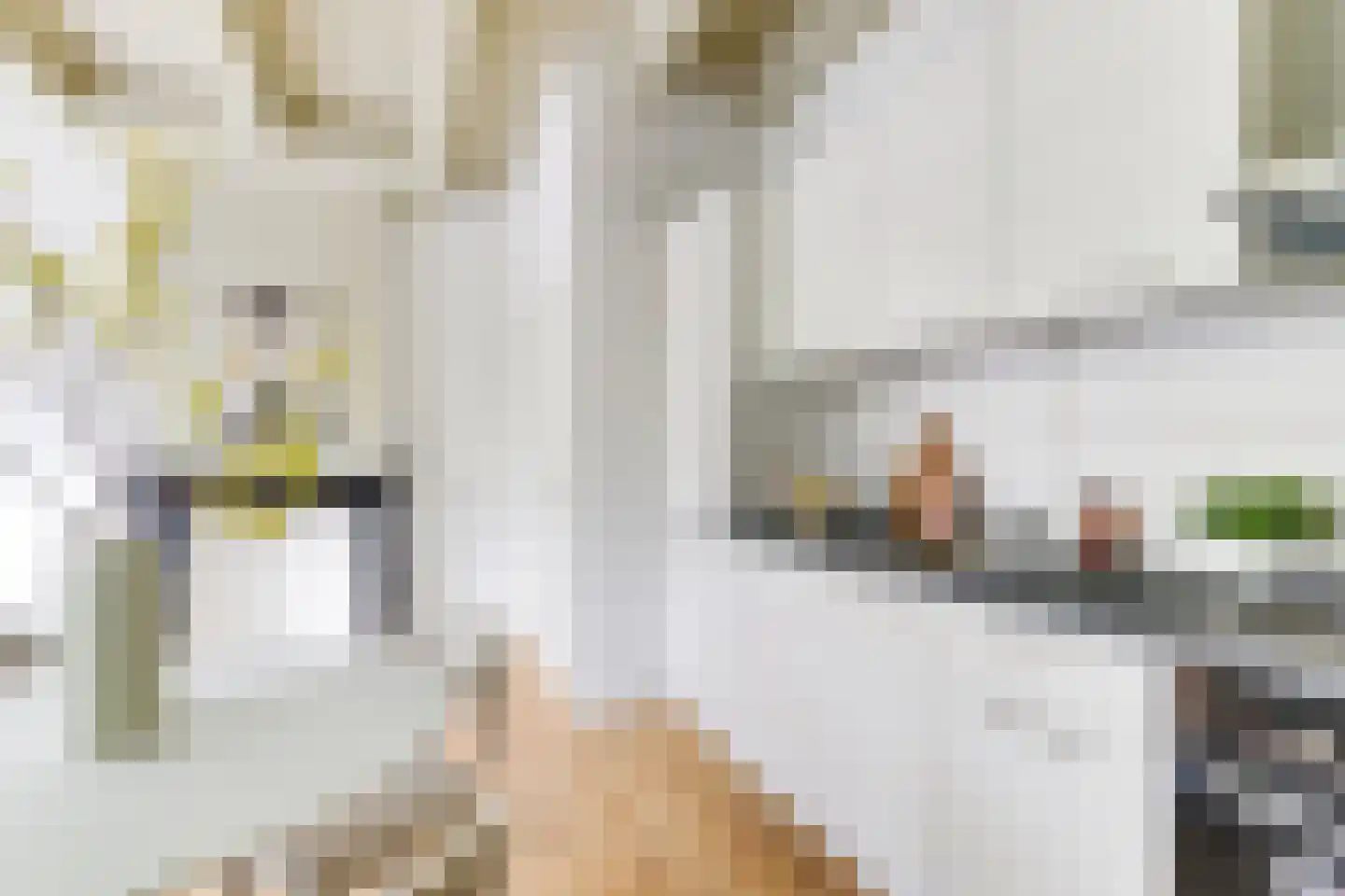 Levendaal 116 B Leiden thumbnail 8
