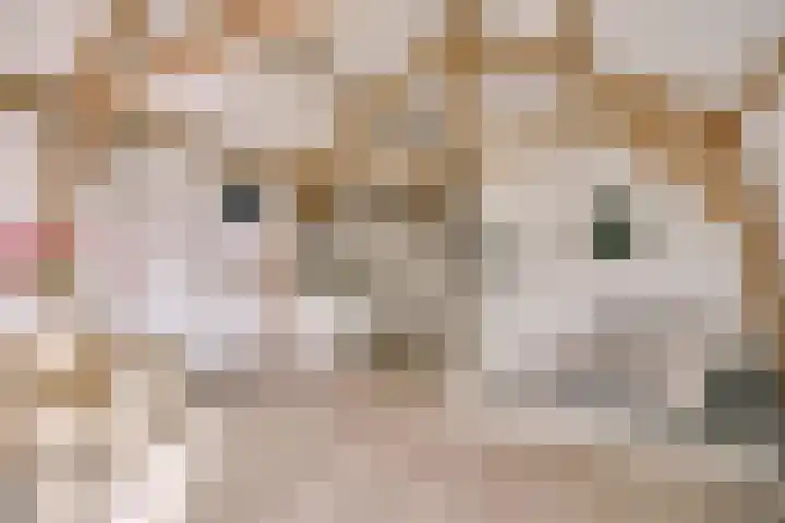 Levendaal 116 C Leiden thumbnail 14