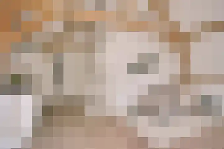 Levendaal 116 C Leiden thumbnail 16