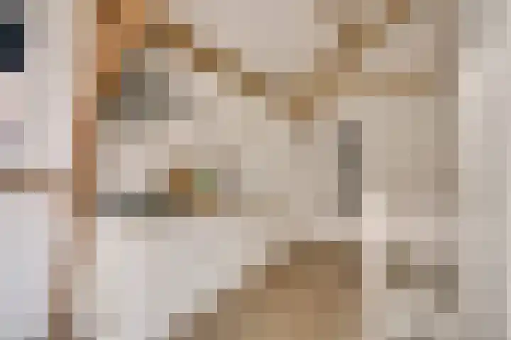 Levendaal 116 C Leiden thumbnail 17