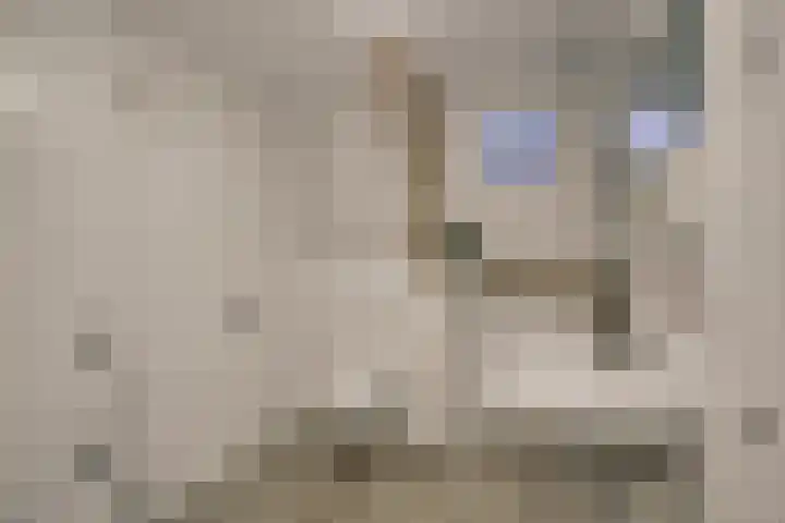 Levendaal 116 C Leiden thumbnail 18