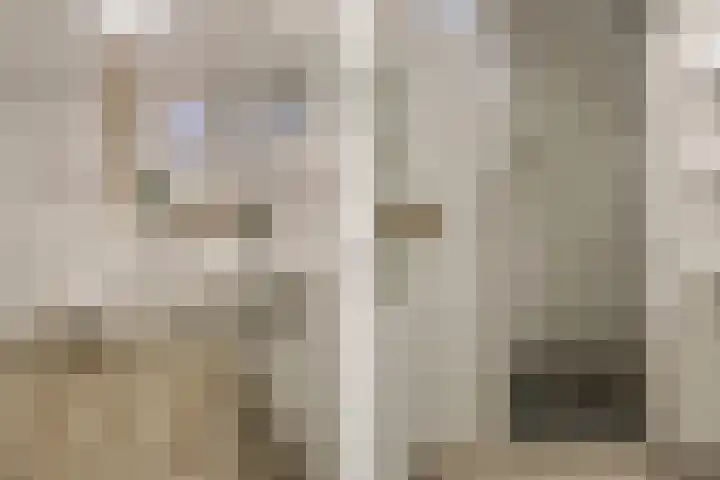 Levendaal 116 C Leiden thumbnail 20