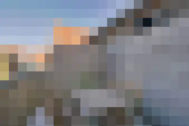 Levendaal 116 C Leiden thumbnail 26