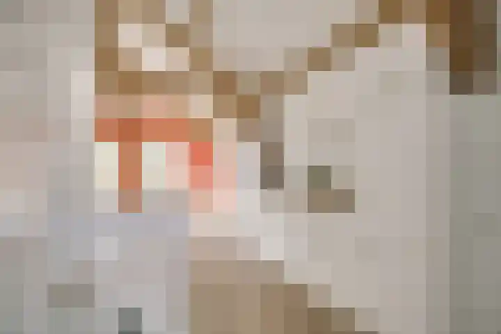 Levendaal 116 C Leiden thumbnail 6
