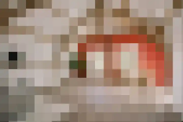 Levendaal 116 C Leiden thumbnail 9