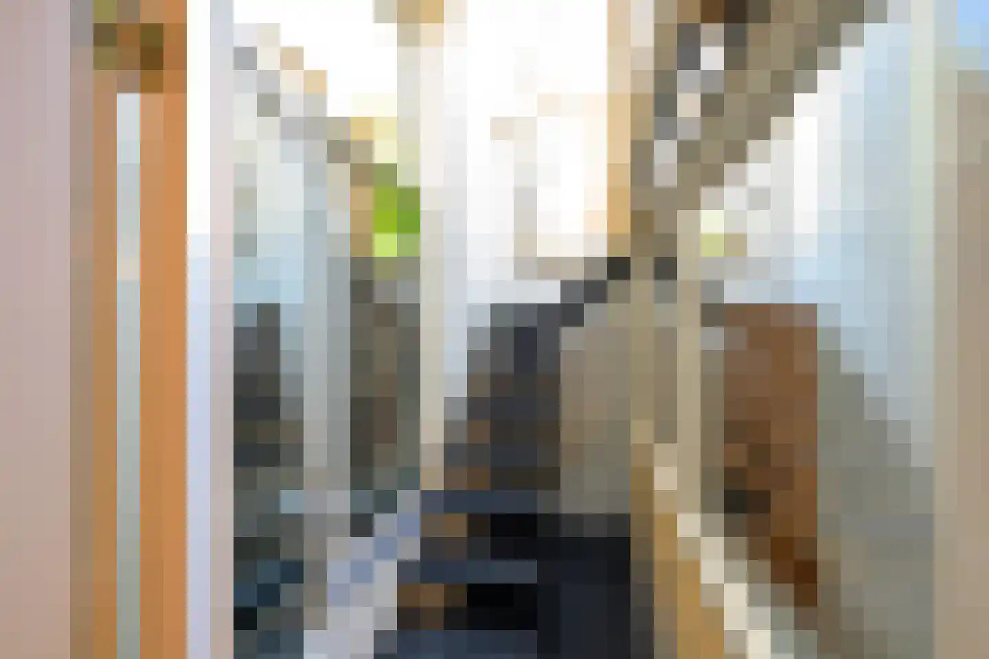Levendaal 116 Leiden thumbnail 21
