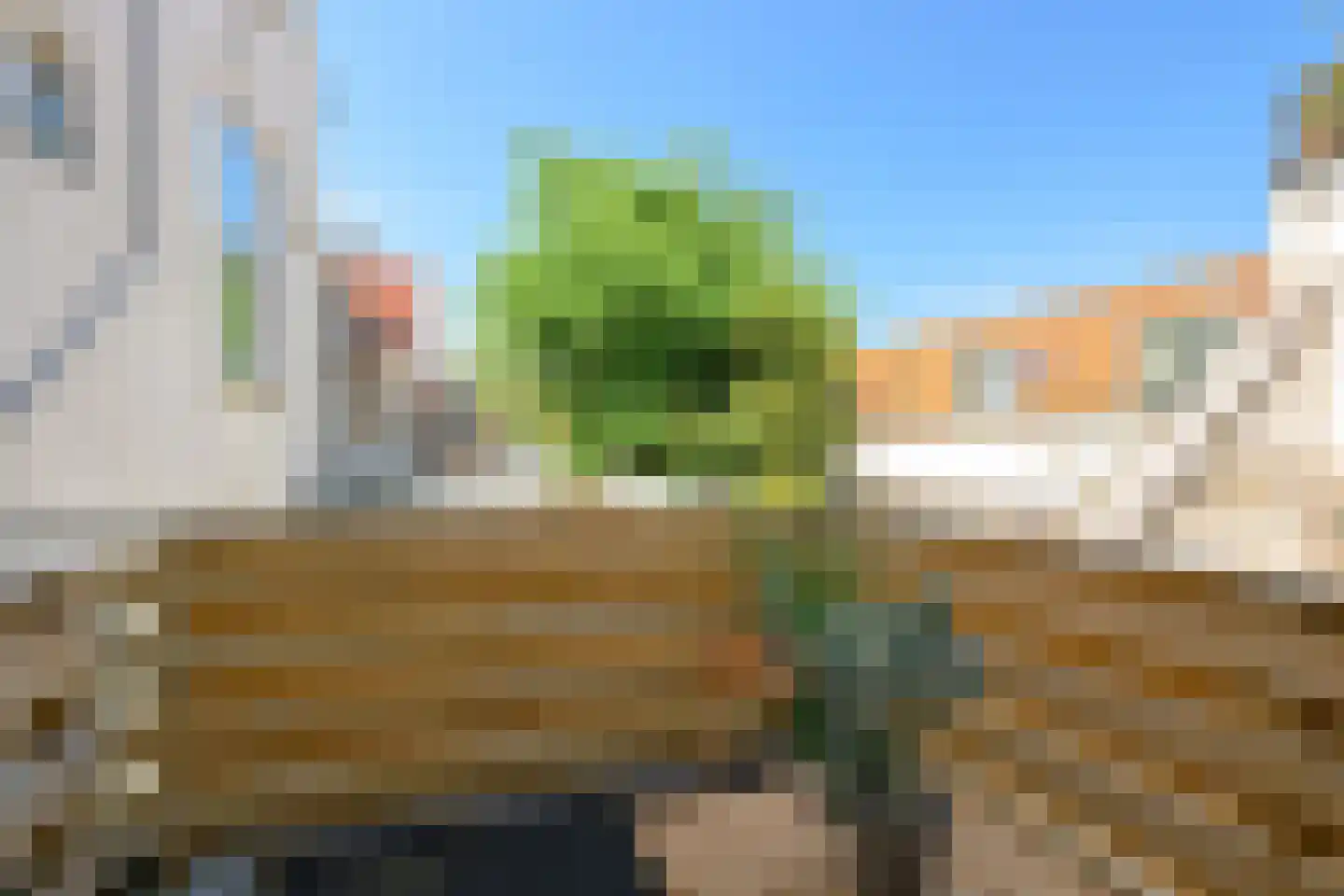Levendaal 116 Leiden thumbnail 24