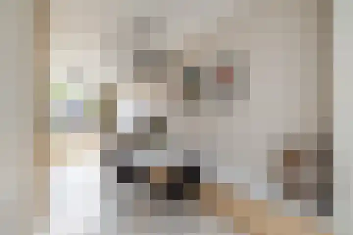 Levendaal 124 Leiden thumbnail 17