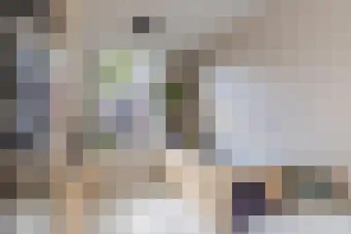 Levendaal 124 Leiden thumbnail 19