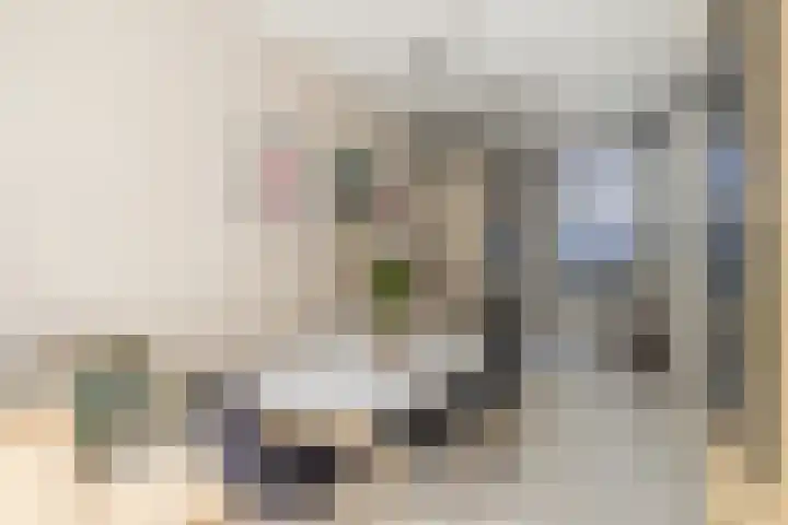 Levendaal 124 Leiden thumbnail 22