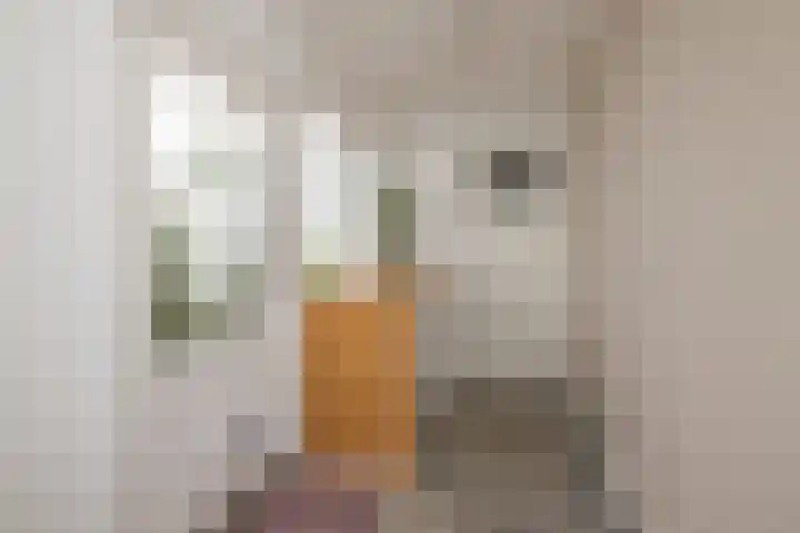 Levendaal 124 Leiden thumbnail 24