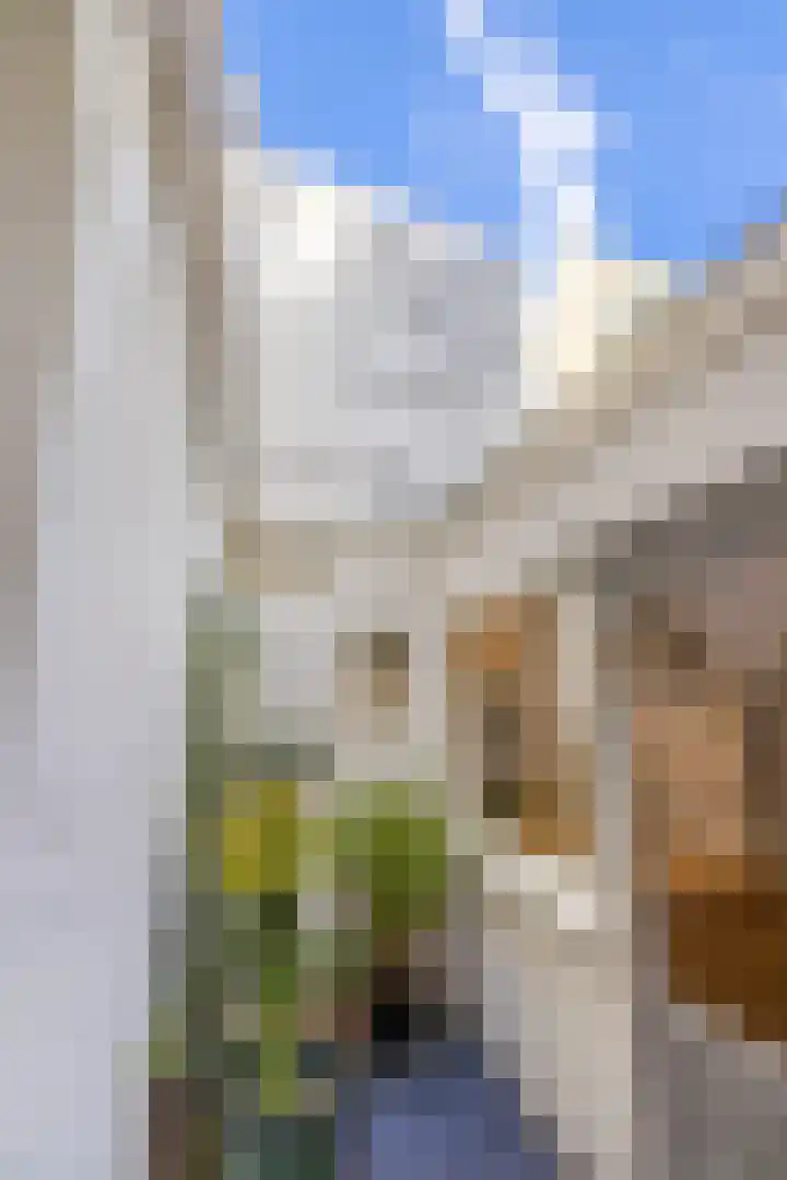 Levendaal 124 Leiden thumbnail 29