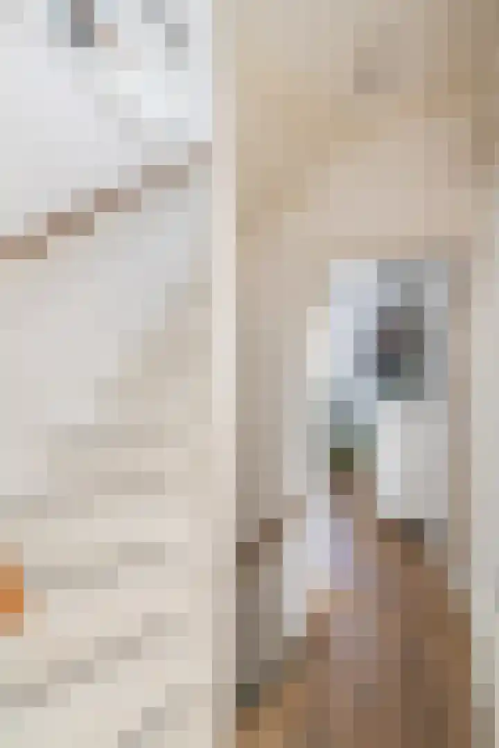 Levendaal 124 Leiden thumbnail 33