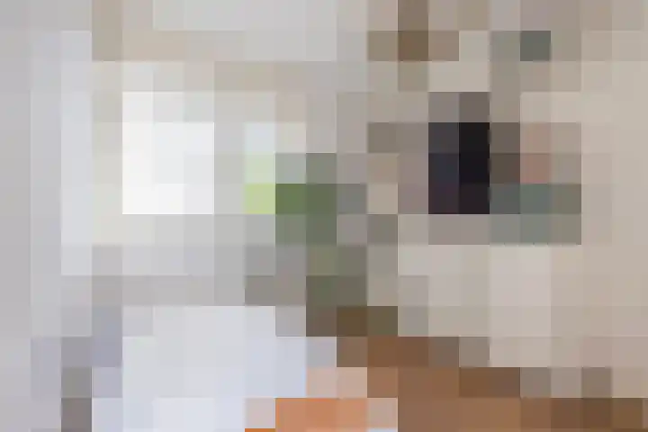 Levendaal 124 Leiden thumbnail 35