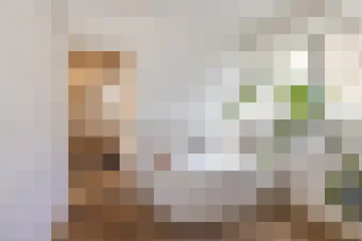 Levendaal 124 Leiden thumbnail 36