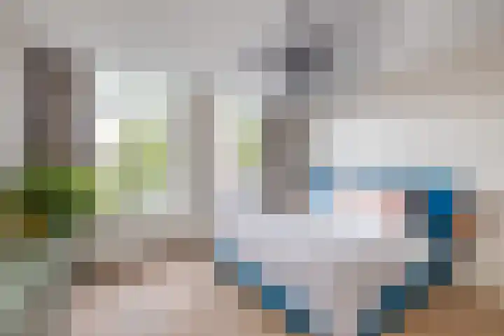 Levendaal 124 Leiden thumbnail 42