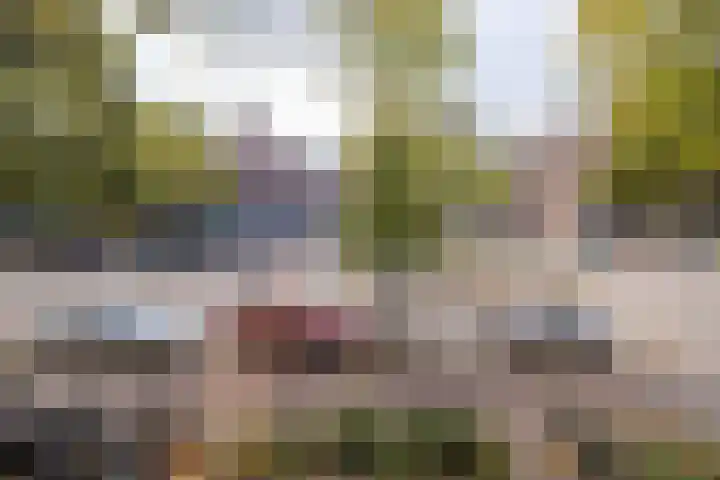Levendaal 124 Leiden thumbnail 45