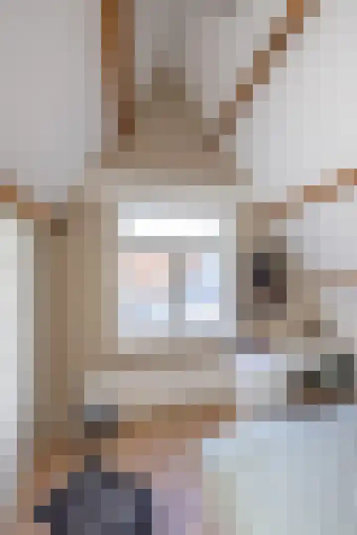 Levendaal 124 Leiden thumbnail 48