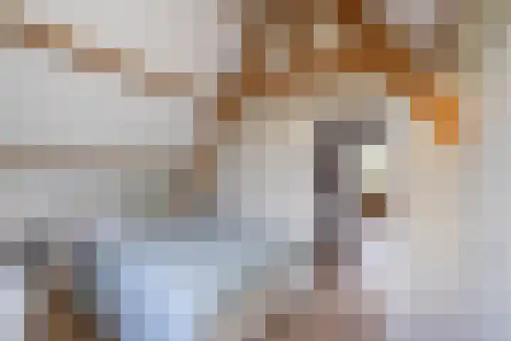 Levendaal 124 Leiden thumbnail 50