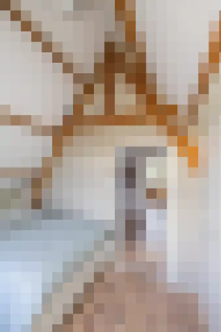 Levendaal 124 Leiden thumbnail 51