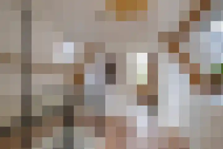 Levendaal 124 Leiden thumbnail 52