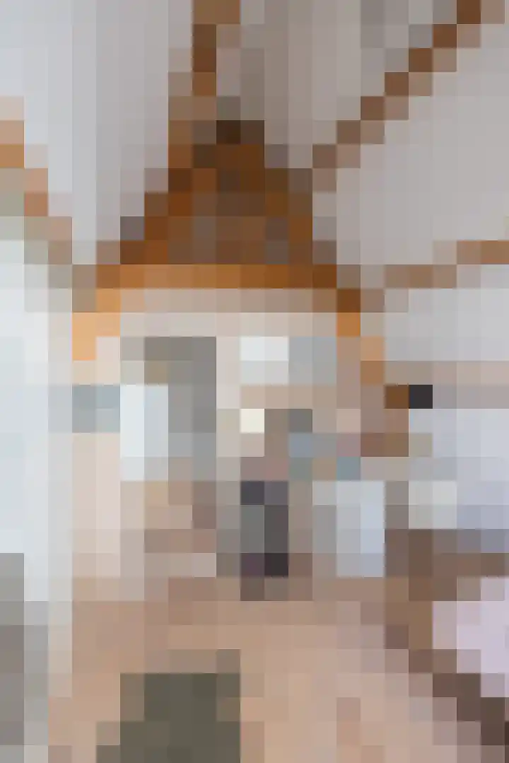 Levendaal 124 Leiden thumbnail 53