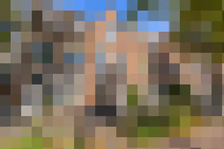Levendaal 124 Leiden thumbnail 6