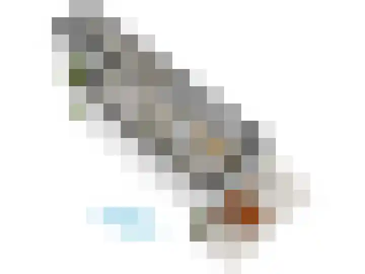 Levendaal 124 Leiden thumbnail 67