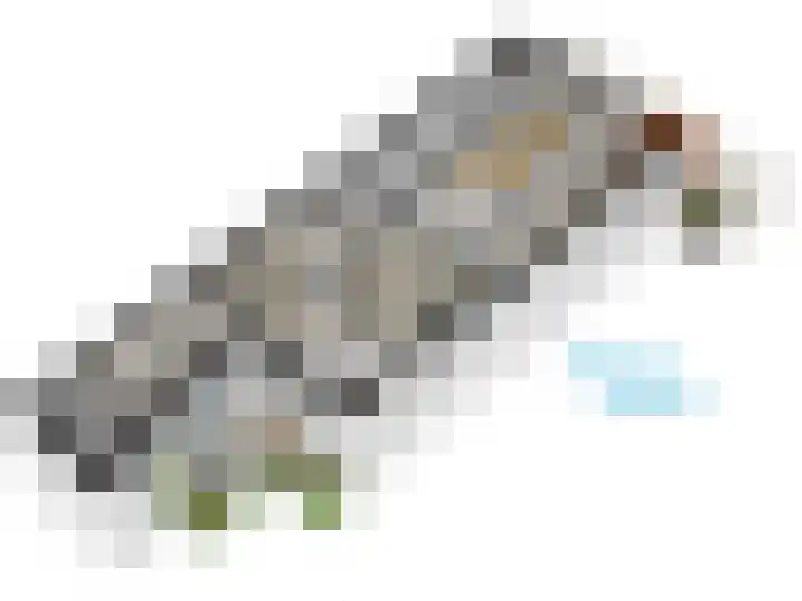 Levendaal 124 Leiden thumbnail 68